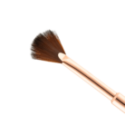 Studio Session_glitter_brush