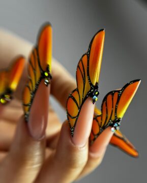 Butterfly Shape